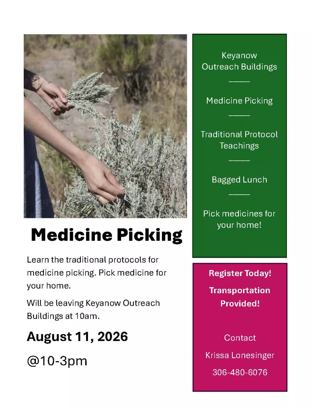 Medicine Picking